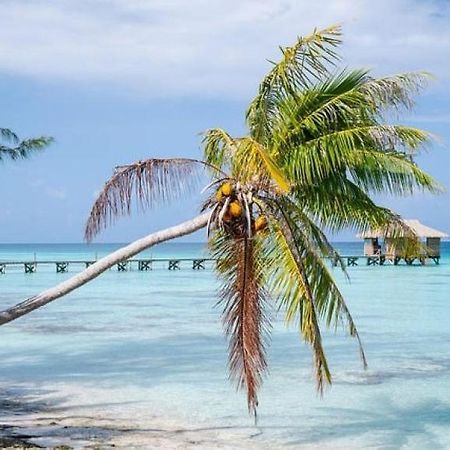 Sunset Hill Lodge Bora Bora Exterior photo